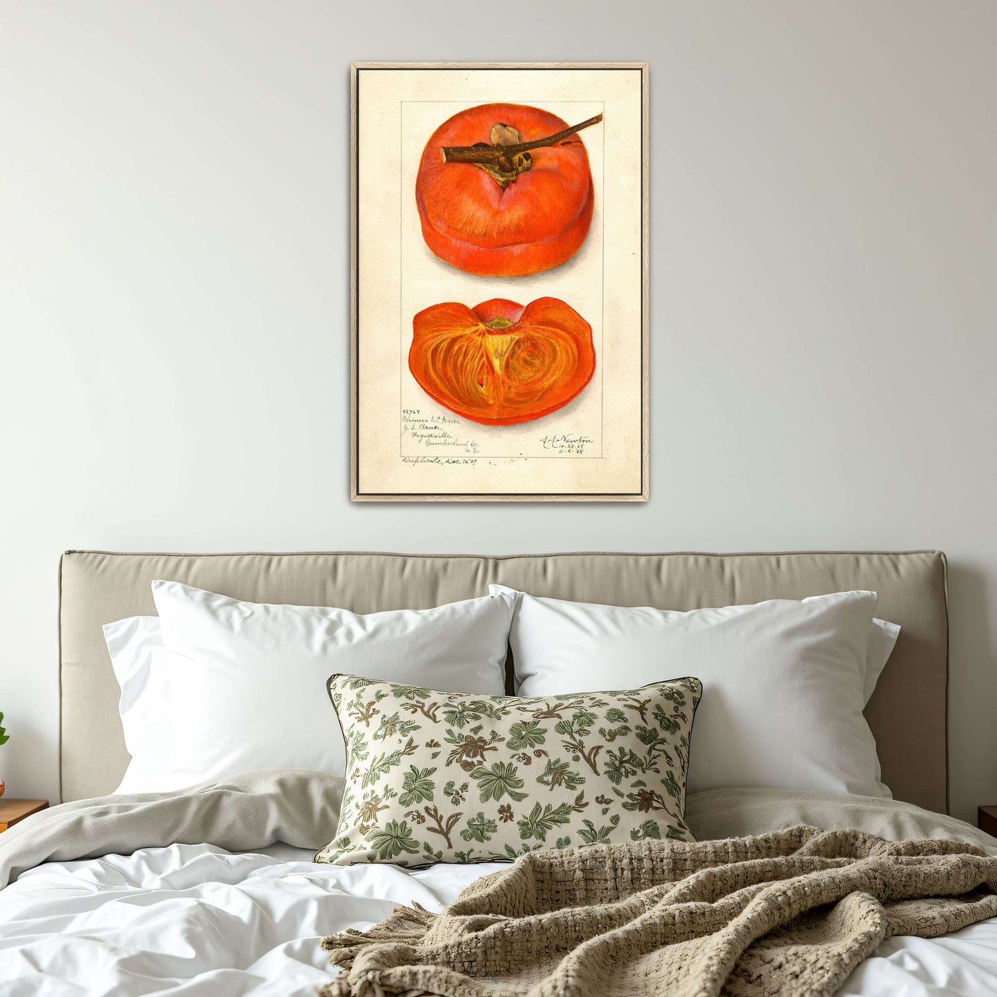 Watercolor painting of persimmon by Amanda Almira Newton