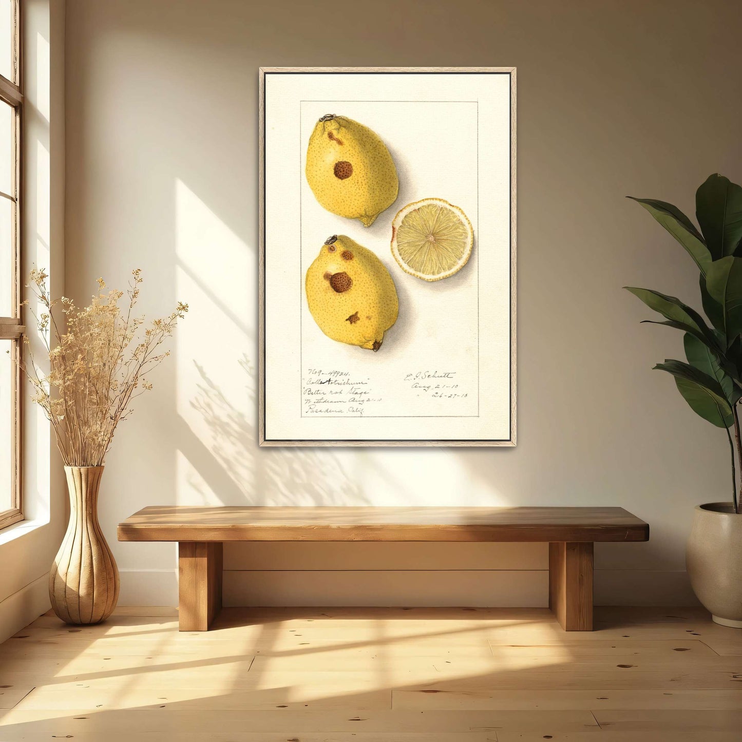 Lemons with blemishes by Ellen Isham Schutt