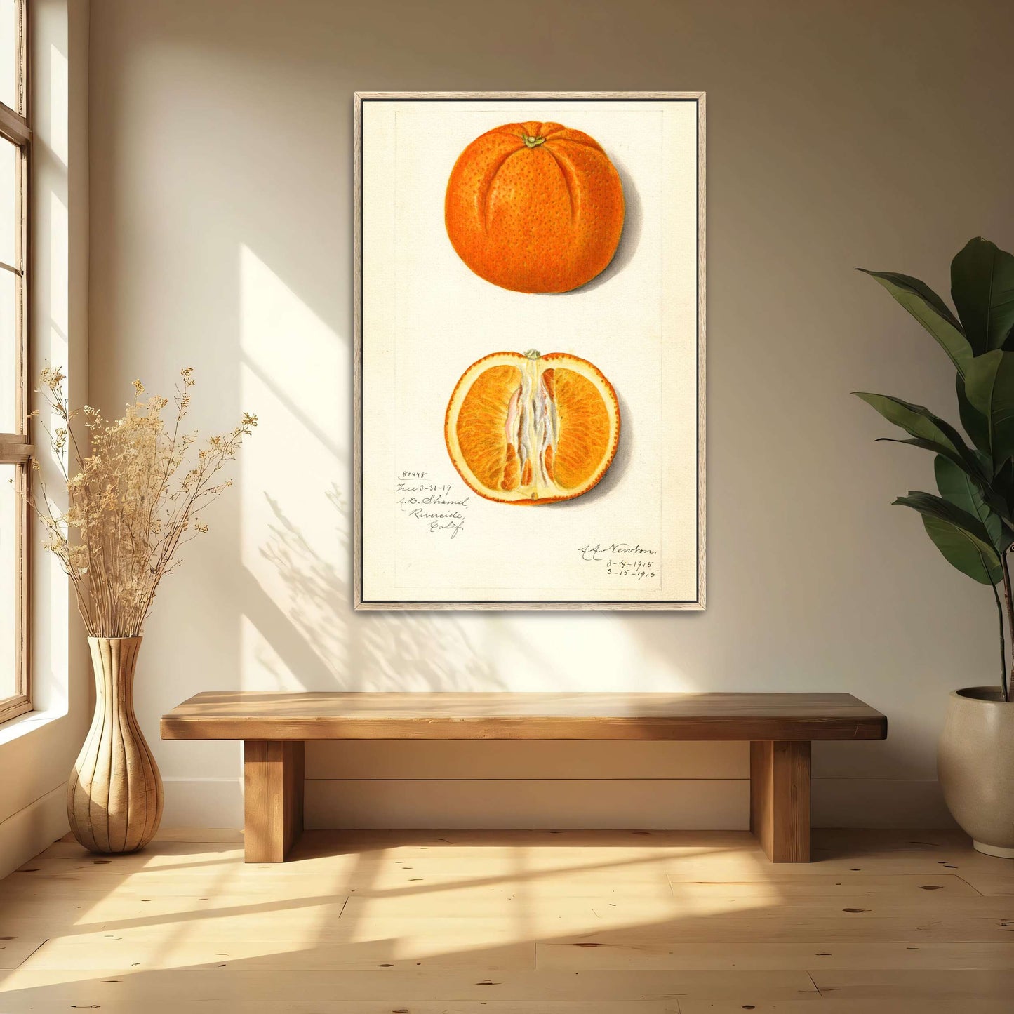 Orange fruit watercolor painting by Amanda Almira Newton