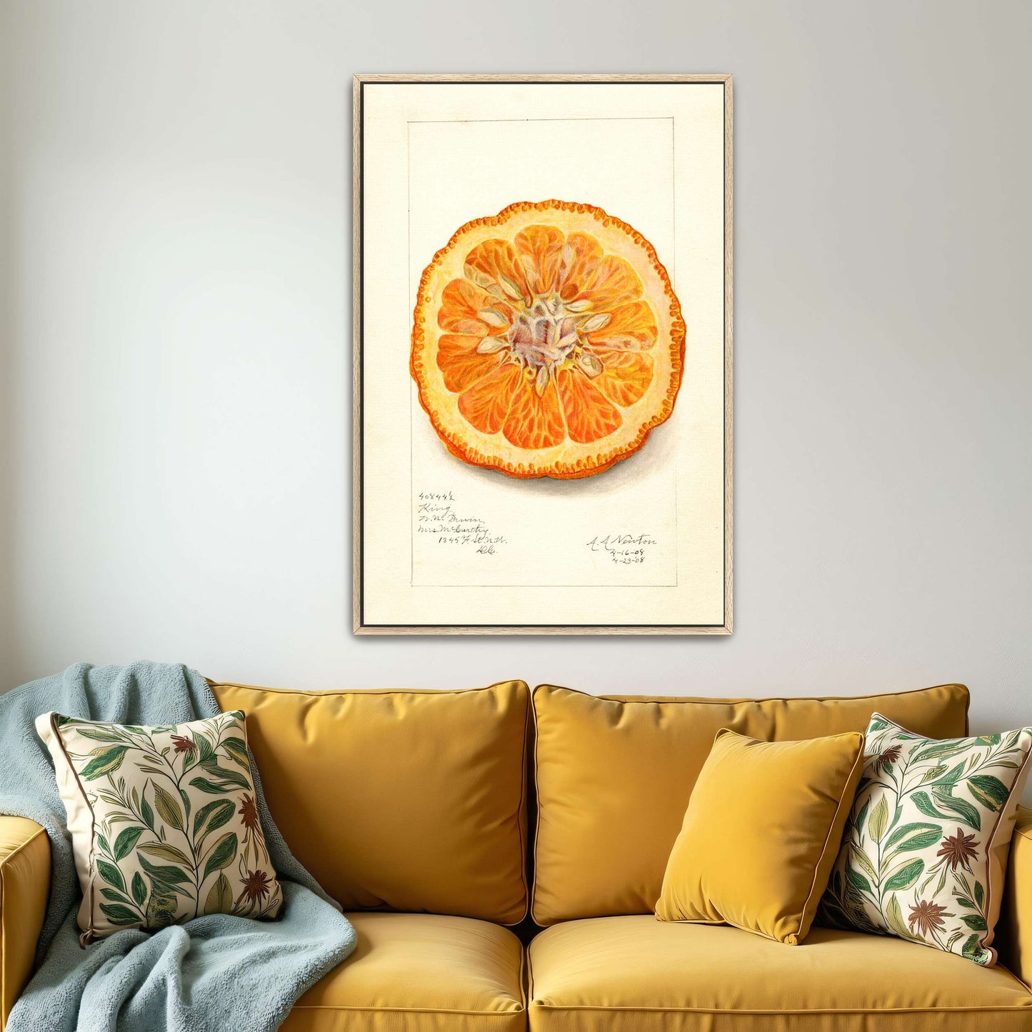 Dried orange slice watercolor by Amanda Almira Newton