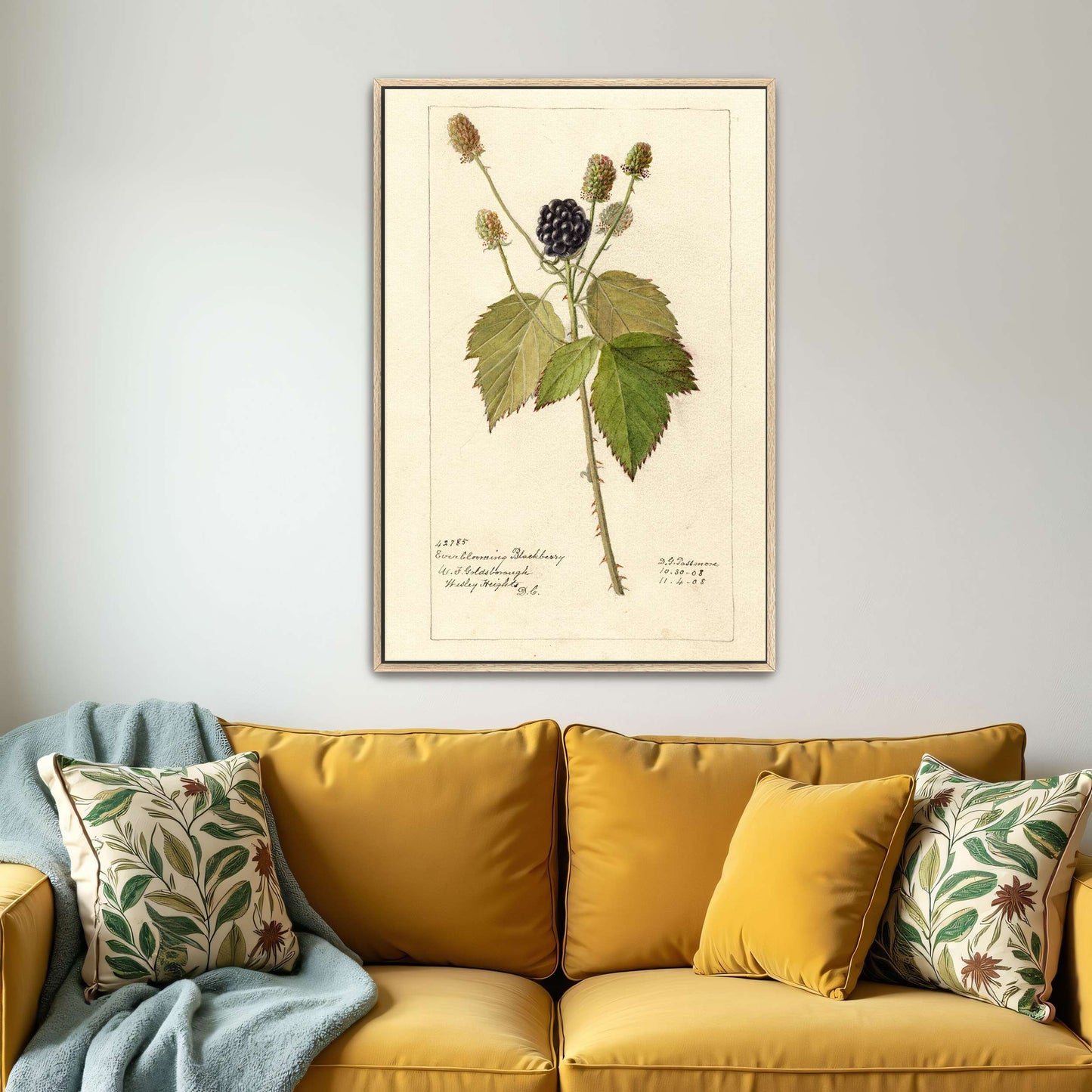 Everblooming Blackberry Botanical by Deborah Griscom Passmore