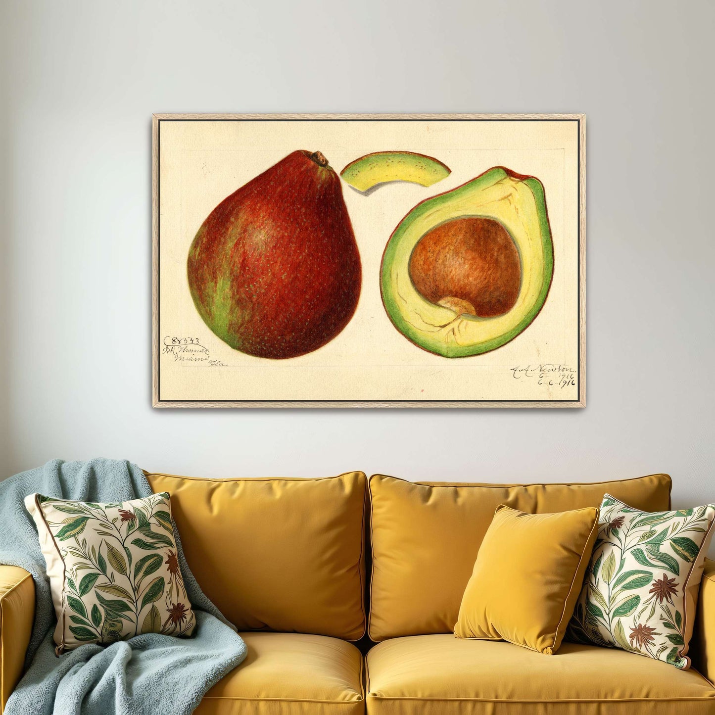 Avocado and pear watercolor by Amanda Almira Newton