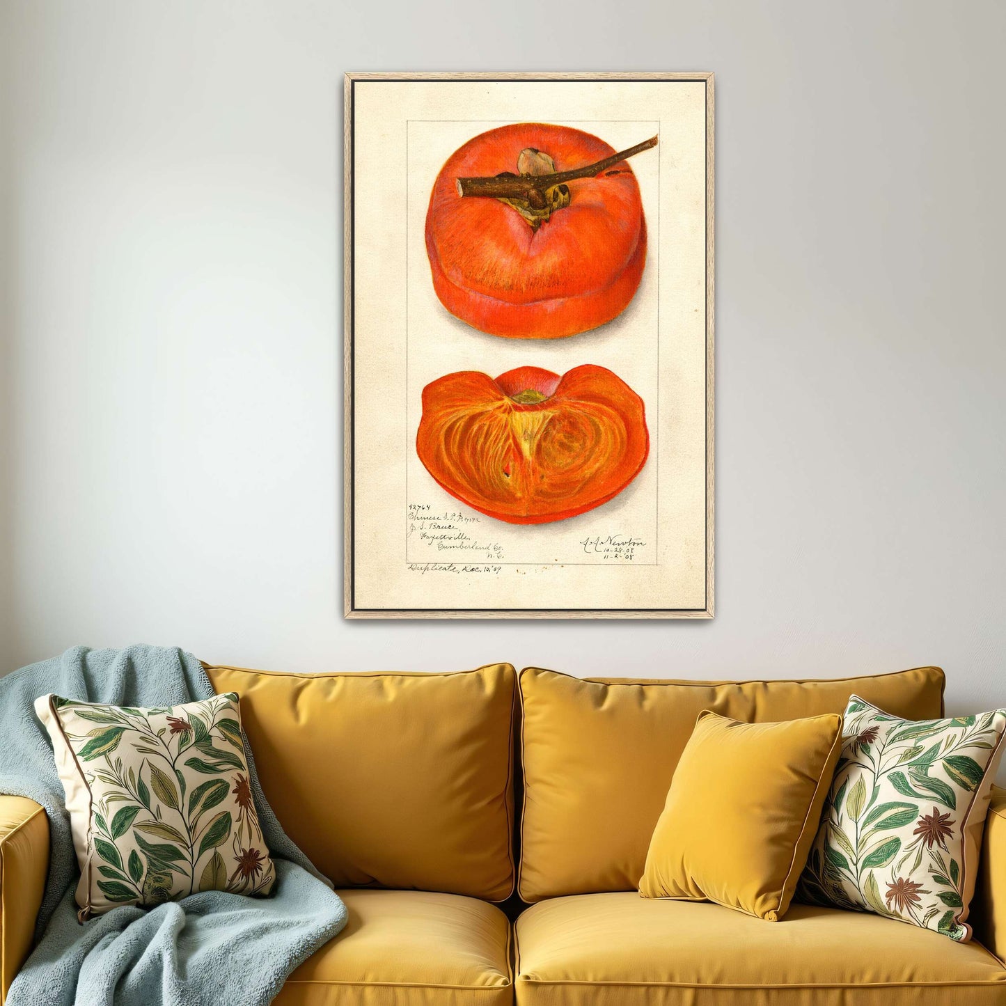 Watercolor painting of persimmon by Amanda Almira Newton