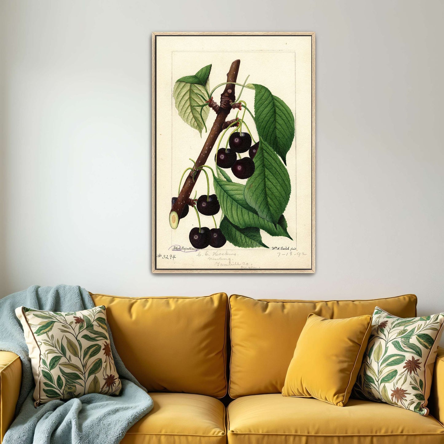 Black Republican Cherries by William Henry Prestele