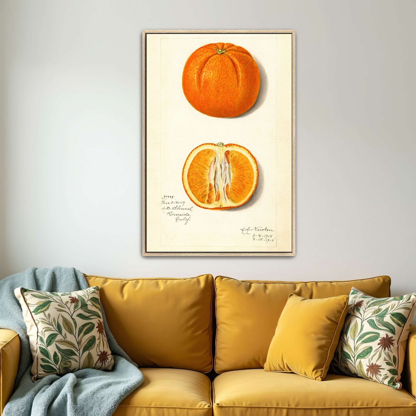 Orange fruit watercolor painting by Amanda Almira Newton
