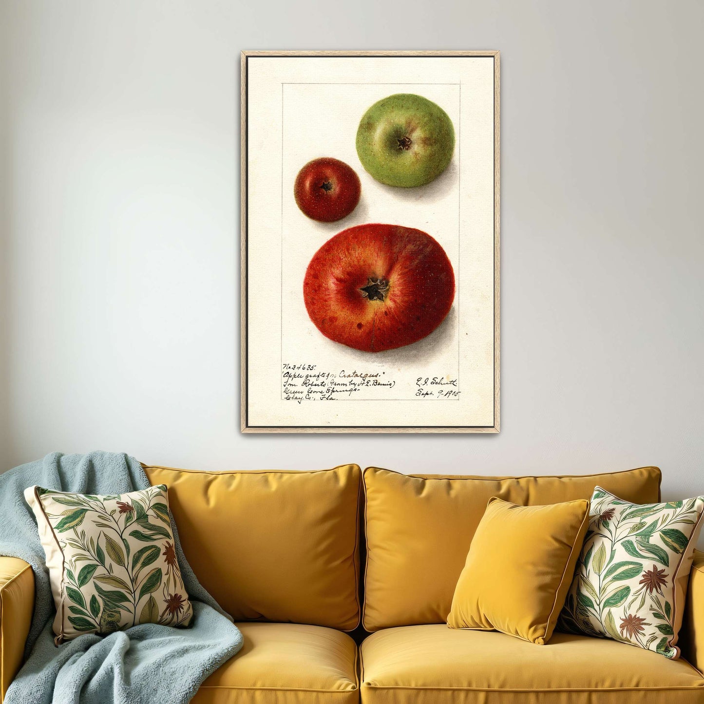 Three apples watercolor painting by Ellen Isham Schutt