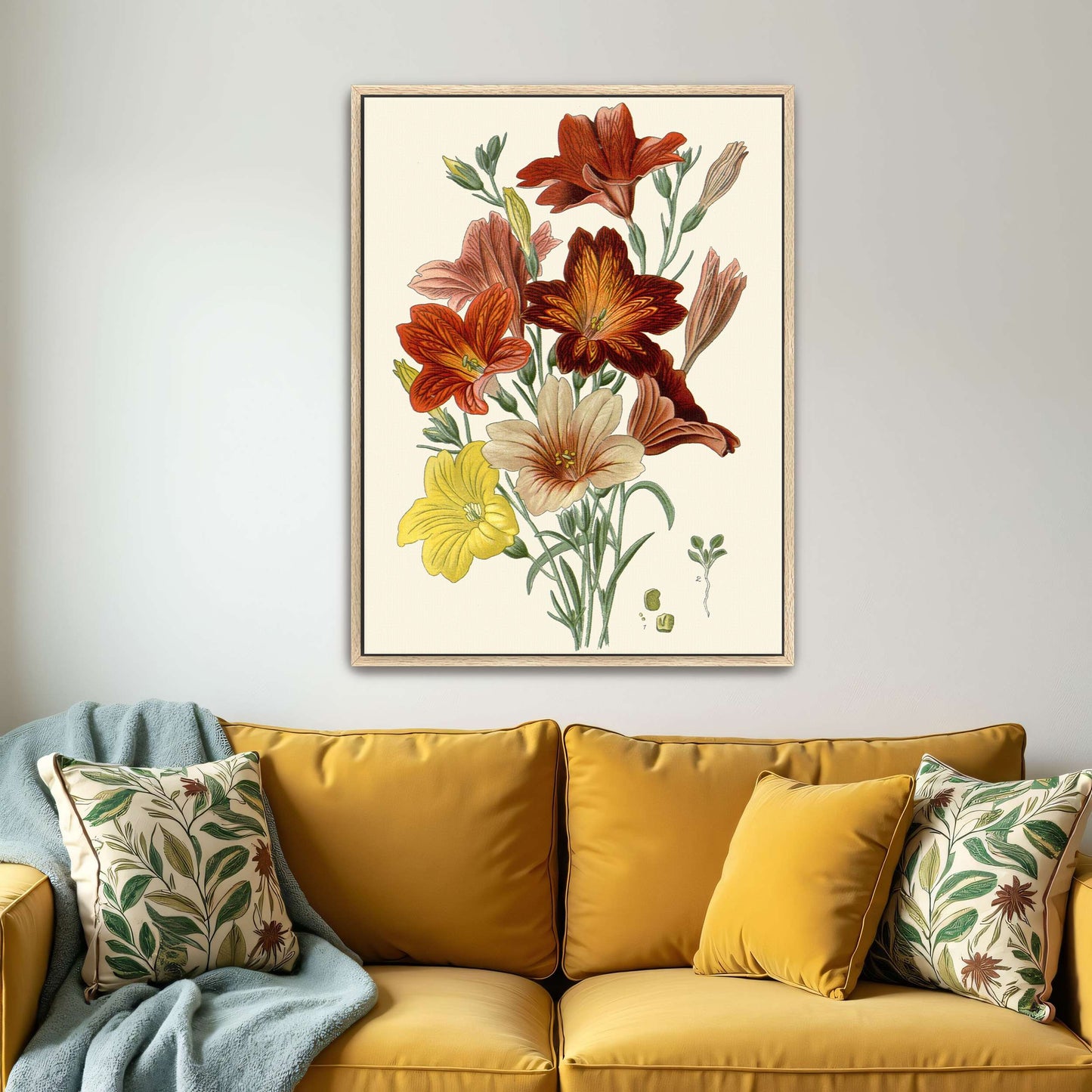 Botanical illustration of flowers by Edward Step