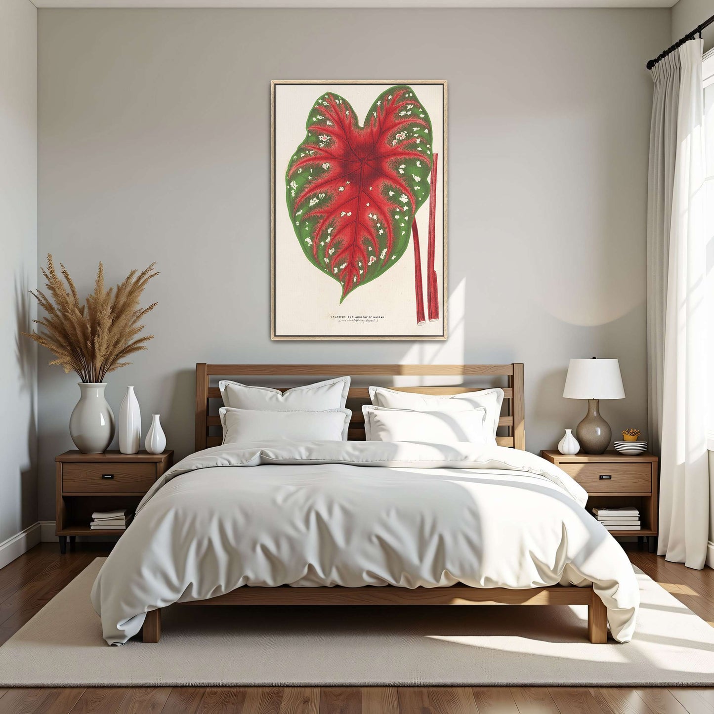 Caladium leaf botanical illustration by Charles Antoine Lemaire