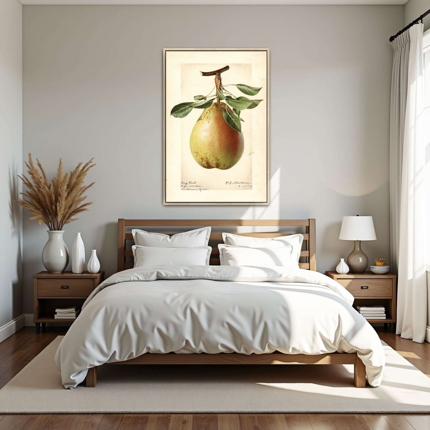 King Karl Pear Botanical Illustration by Royal Charles Steadman