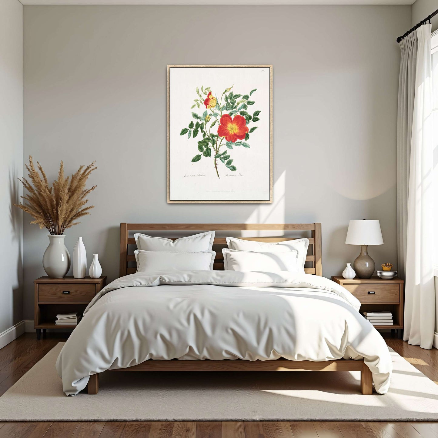 Austrian Rose botanical illustration by Mary Lawrance