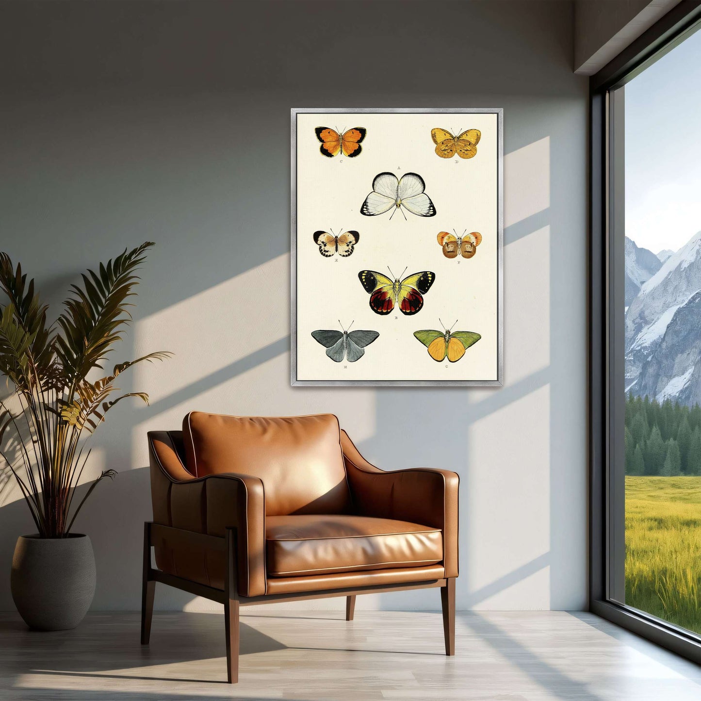 Collection of butterflies on a white page by Pieter Cramer