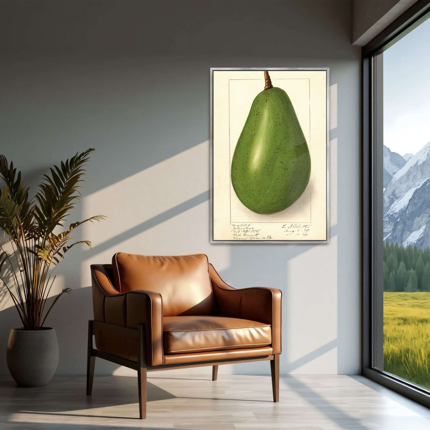 Botanical illustration of avocado by Ellen Isham Schutt