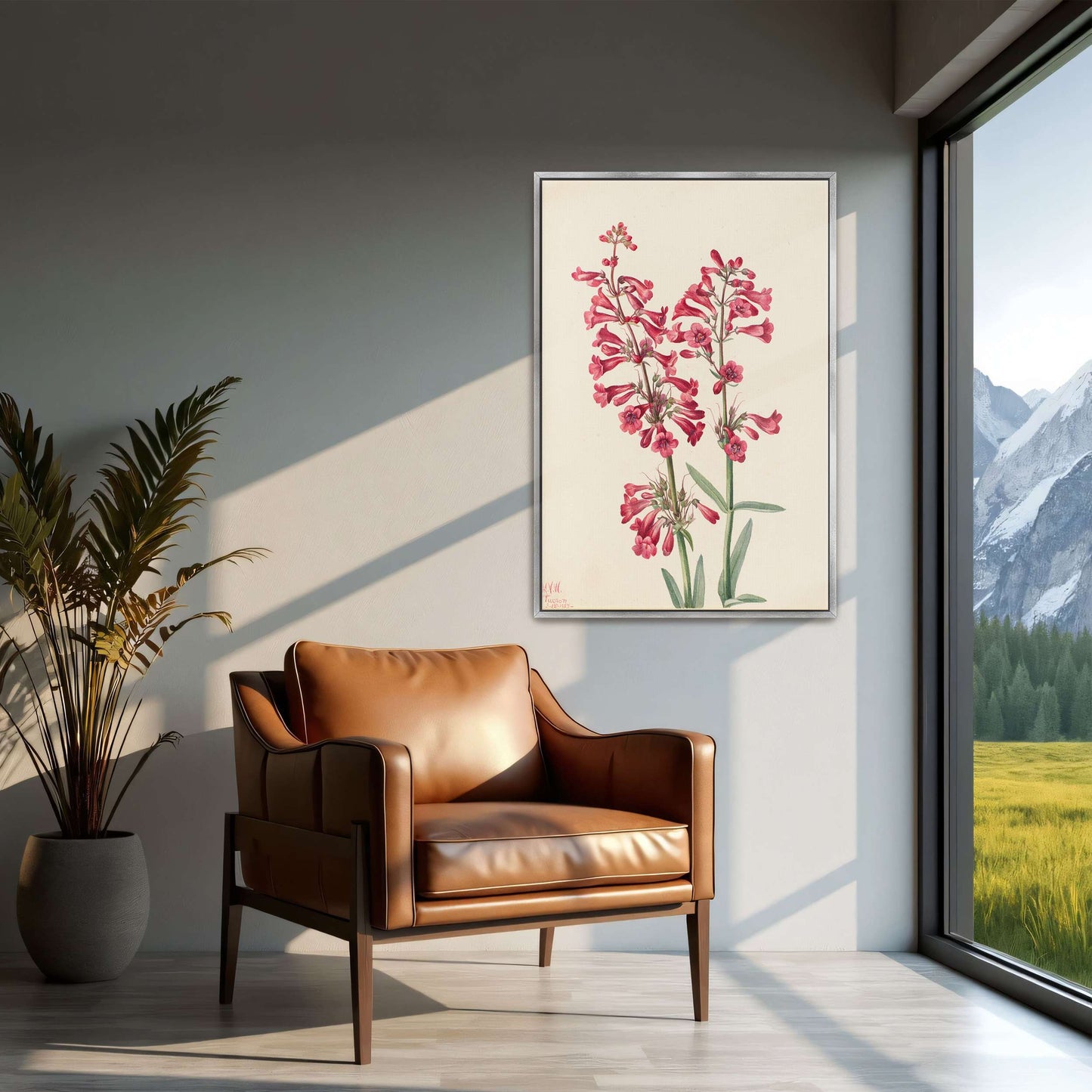 Pink wildflowers botanical art by Mary Vaux Walcott