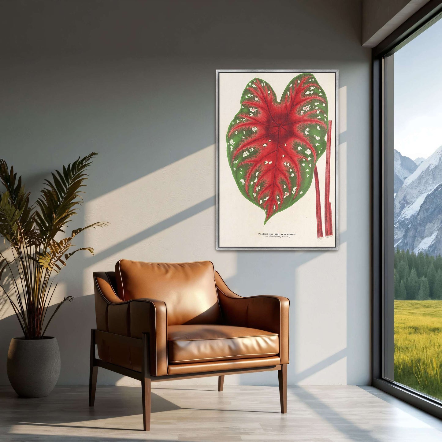 Caladium leaf botanical illustration by Charles Antoine Lemaire