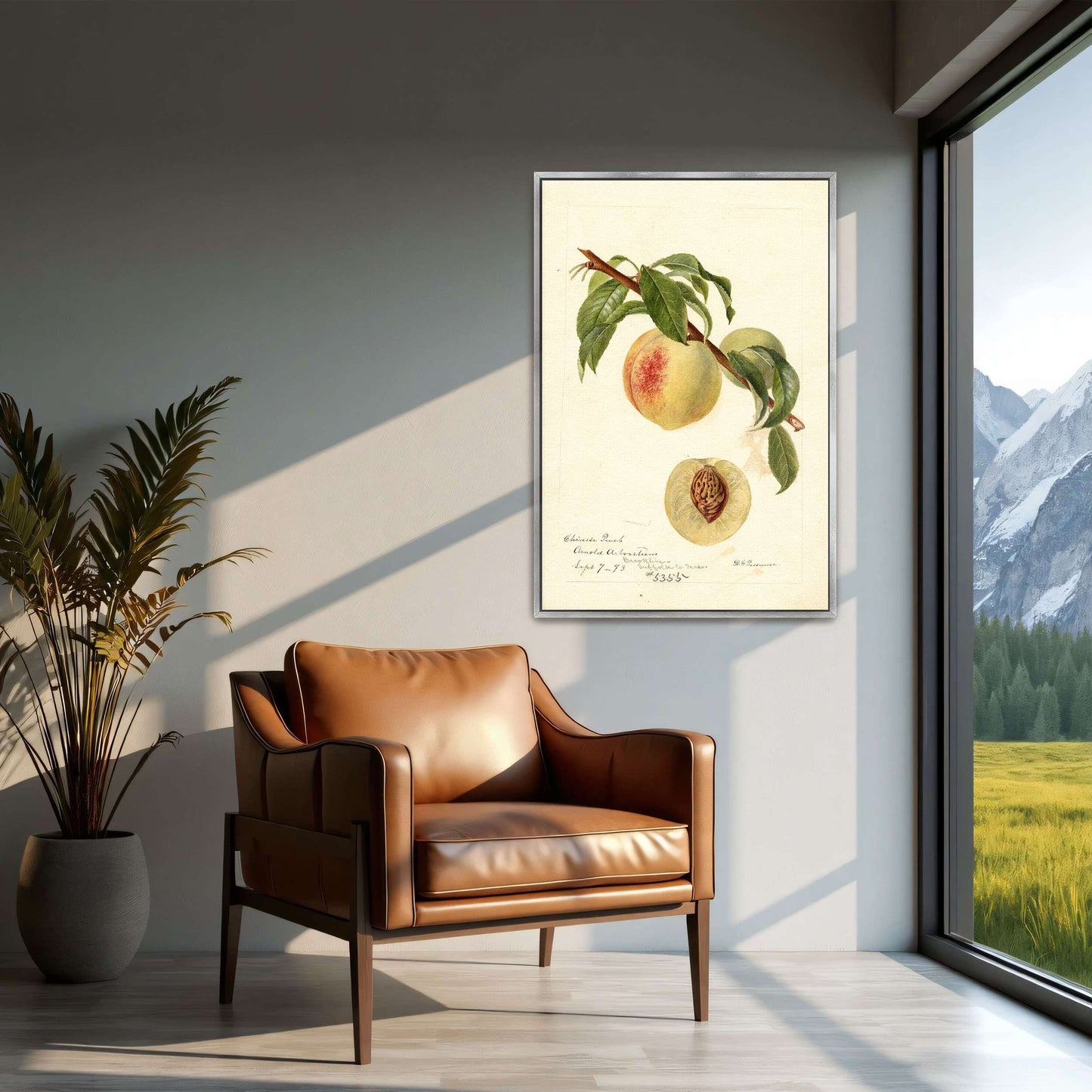 Chinese Peach Botanical Illustration by Deborah Griscom Passmore