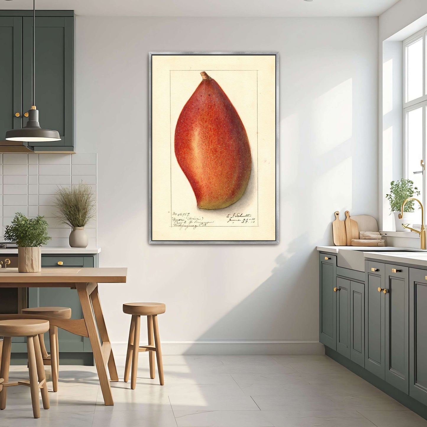 Red mango botanical illustration by Ellen Isham Schutt