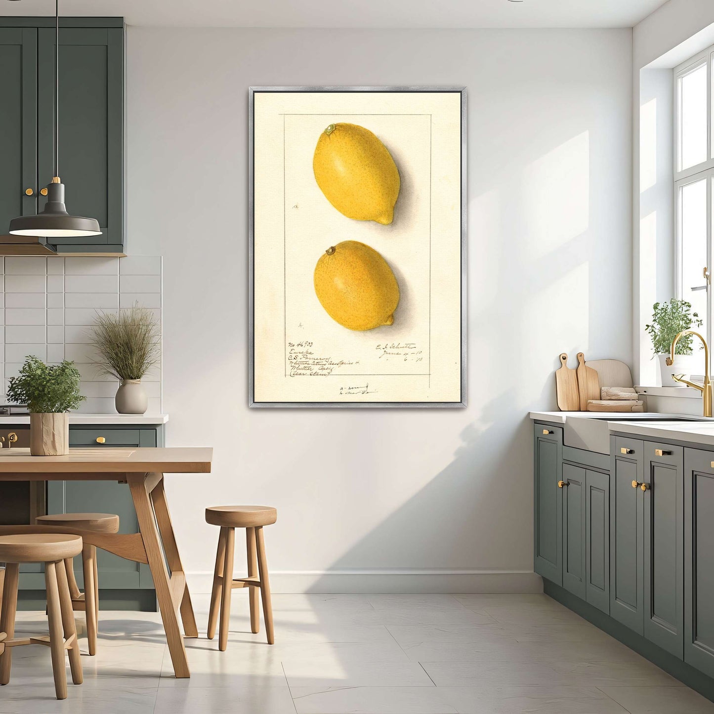 Two Lemons, Botanical Illustration by Ellen Isham Schutt
