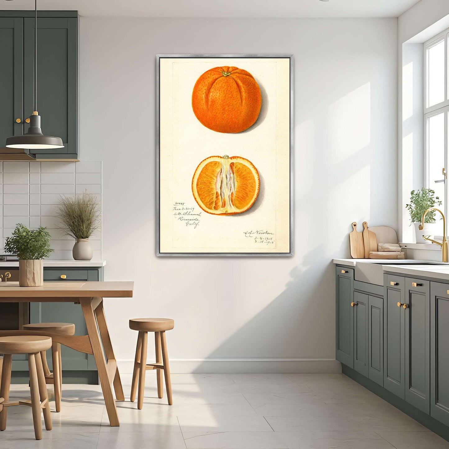 Orange fruit watercolor painting by Amanda Almira Newton