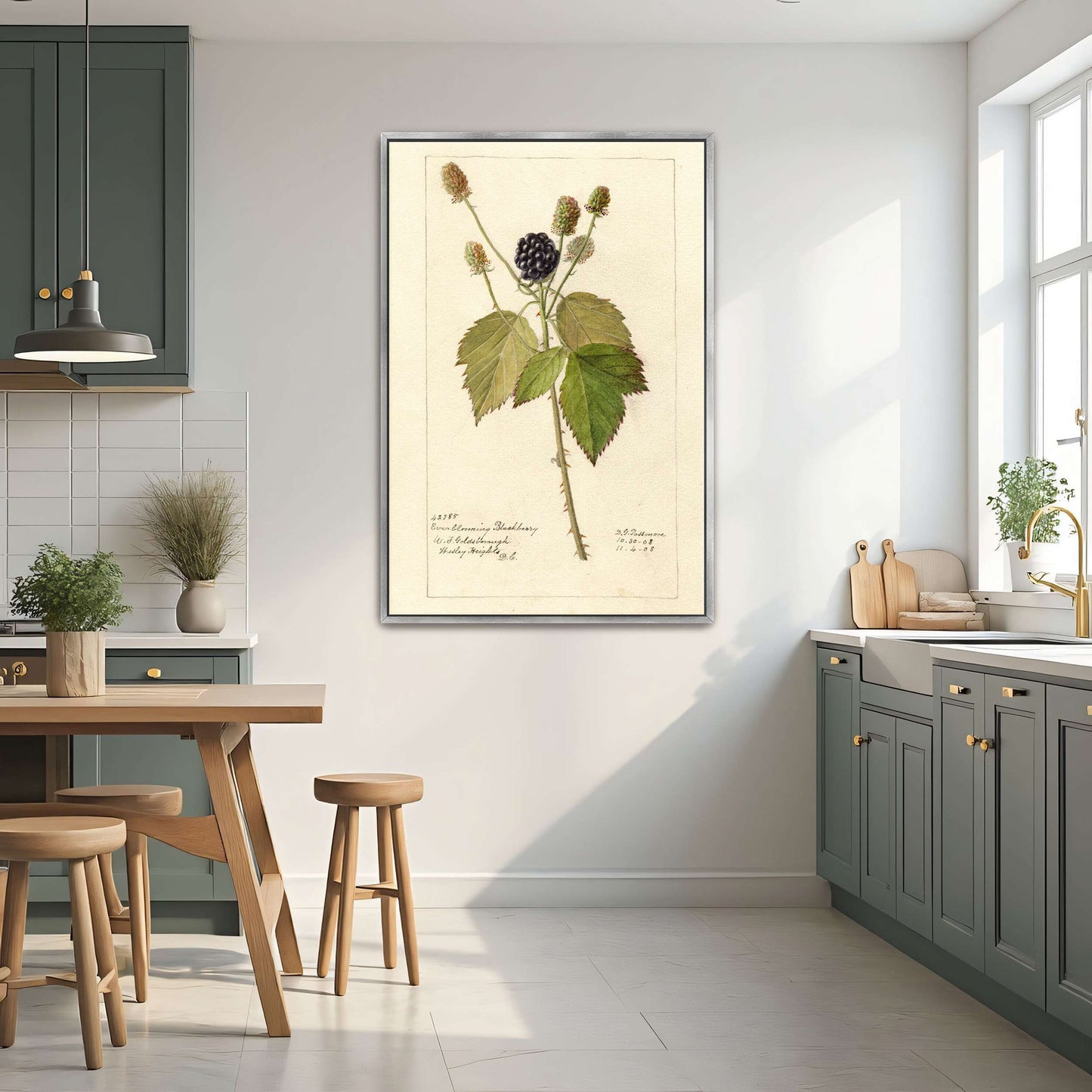 Everblooming Blackberry Botanical by Deborah Griscom Passmore