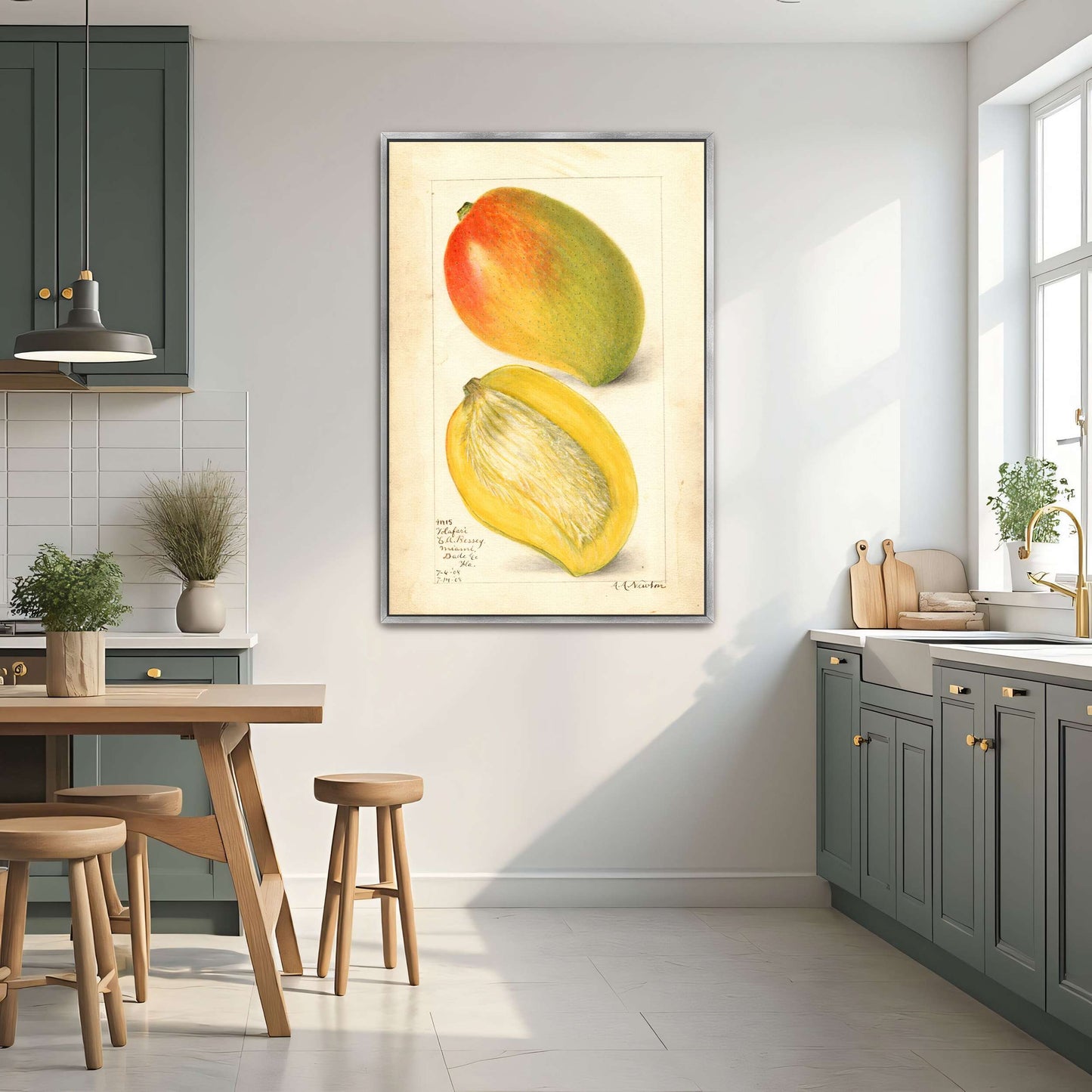 Watercolor Painting Of Two Mangoes By Amanda Almira Newton