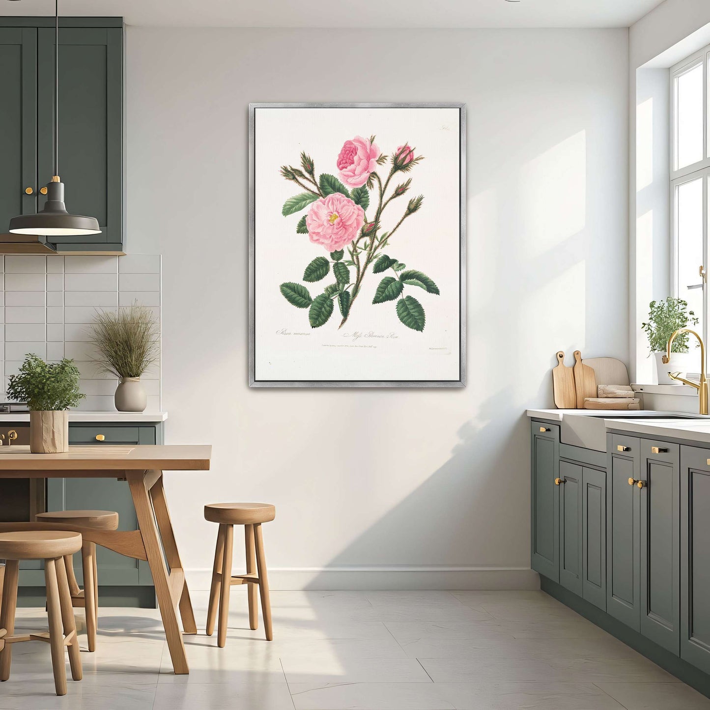 Pink rose botanical illustration by Mary Lawrance