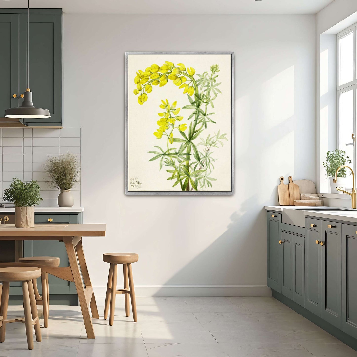 Yellow lupine watercolor painting by Mary Vaux Walcott