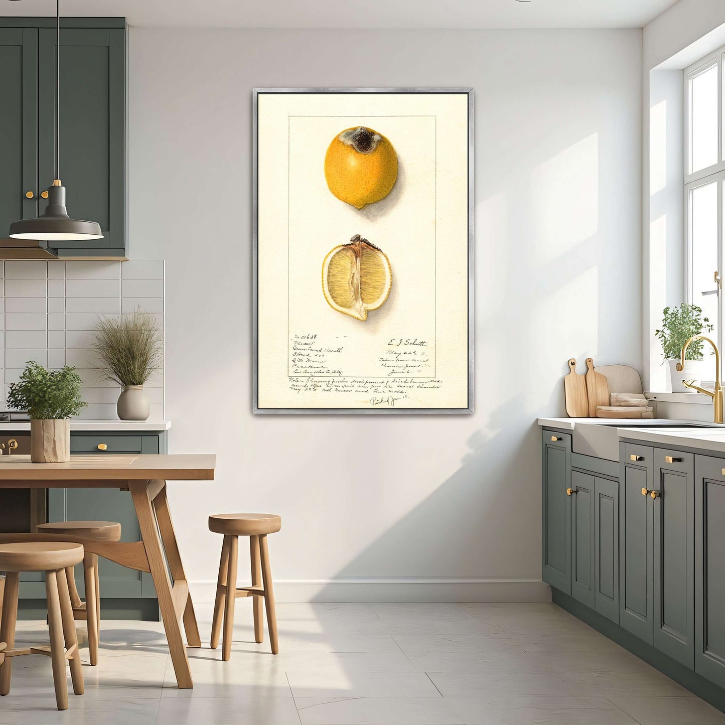 Lemon with Mucor by Ellen Isham Schutt