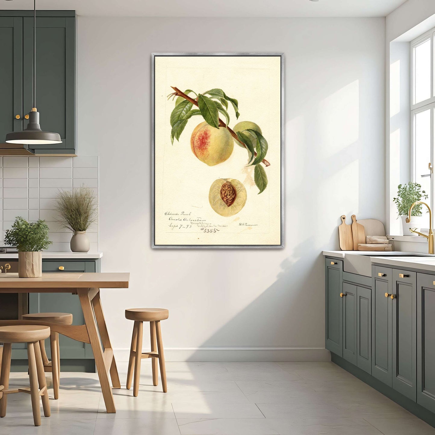 Chinese Peach Botanical Illustration by Deborah Griscom Passmore