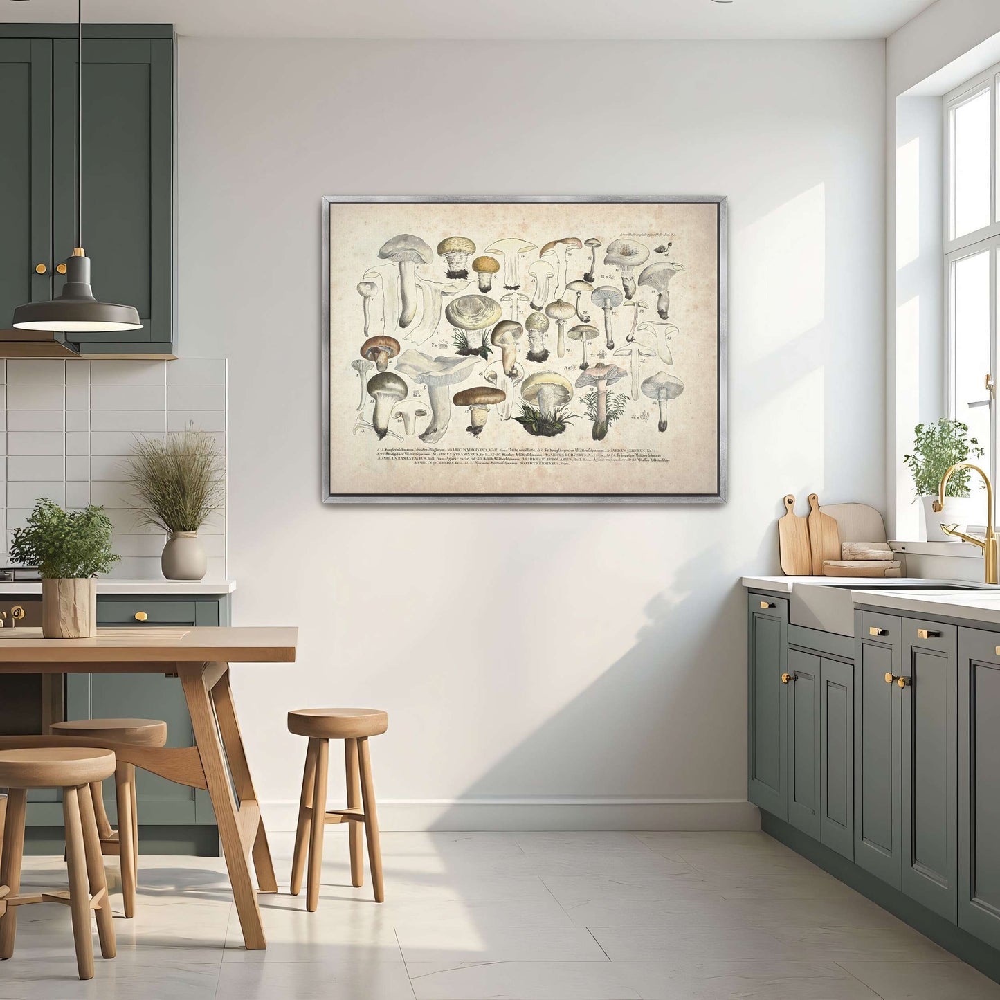 Mushroom illustration, botanical art by J. V. Krombholz