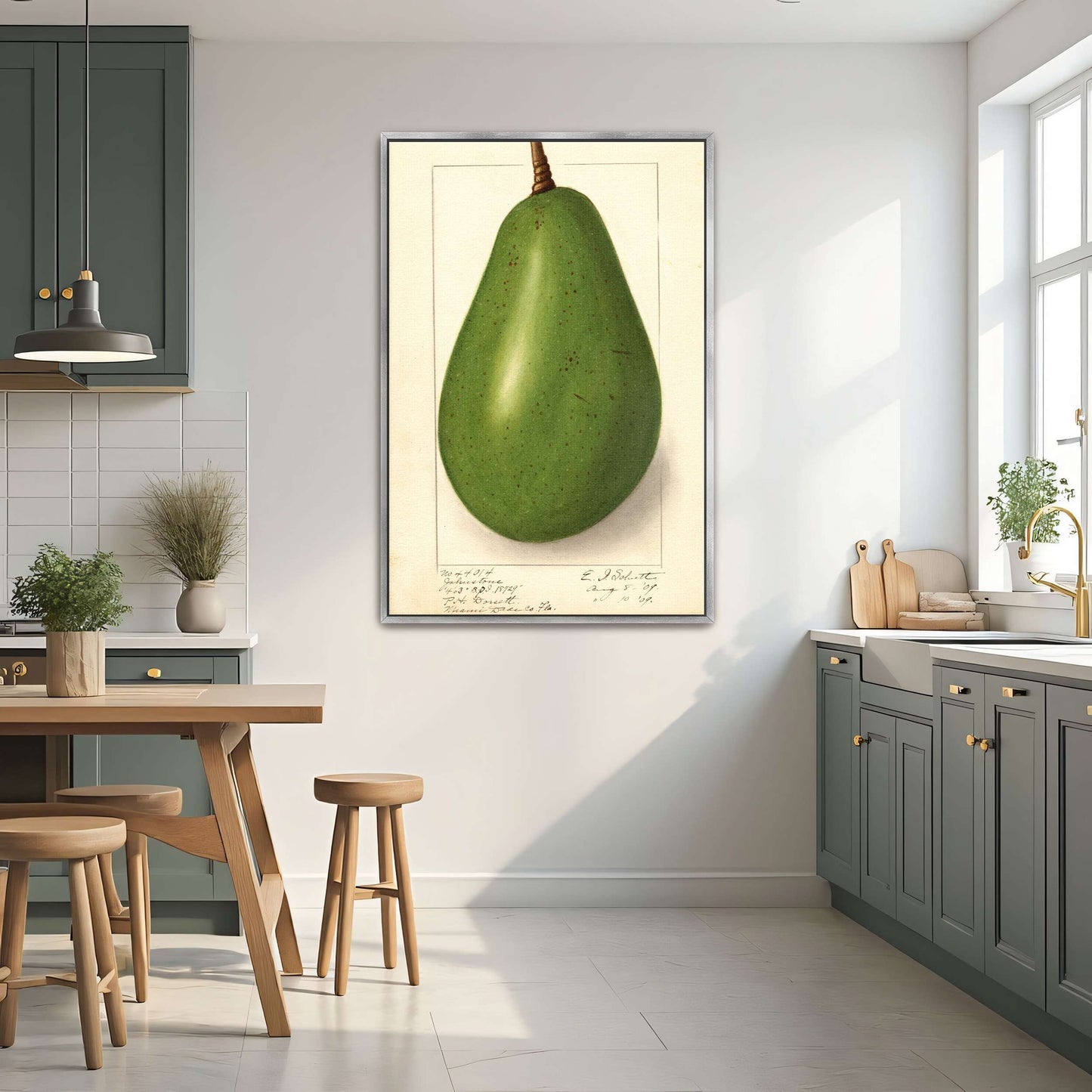 Botanical illustration of avocado by Ellen Isham Schutt
