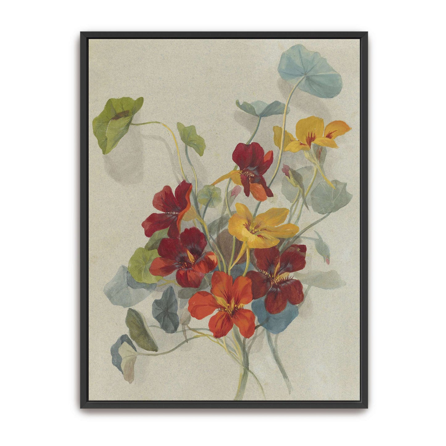 Watercolor painting of nasturtiums by Deborah Griscom Passmore