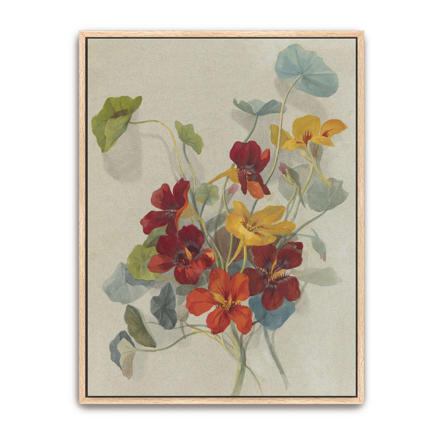 Watercolor painting of nasturtiums by Deborah Griscom Passmore