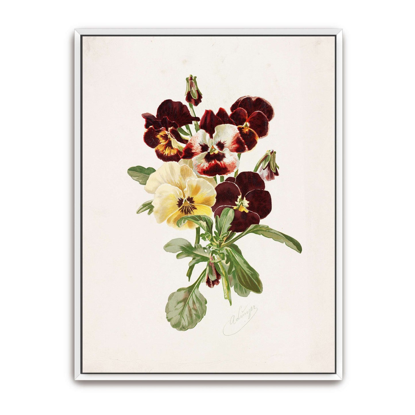 Dark and Light Pansies Bouquet by Alois Lunzer