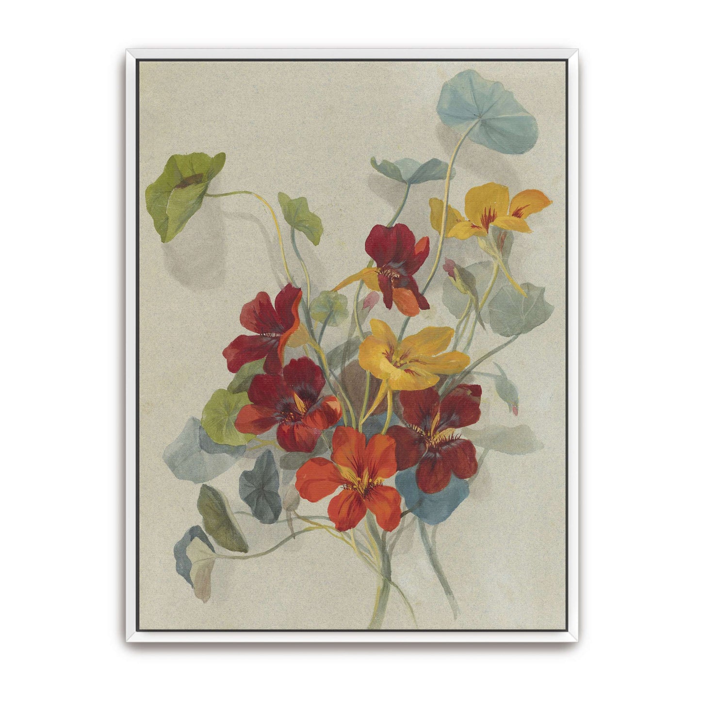Watercolor painting of nasturtiums by Deborah Griscom Passmore