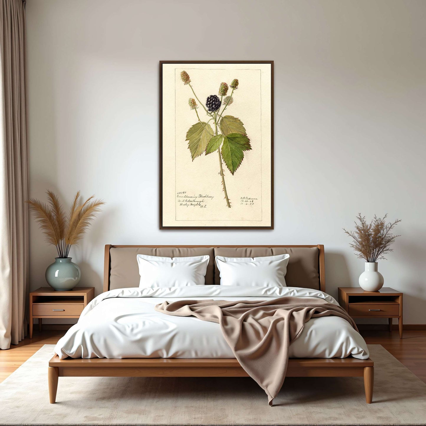 Everblooming Blackberry Botanical by Deborah Griscom Passmore