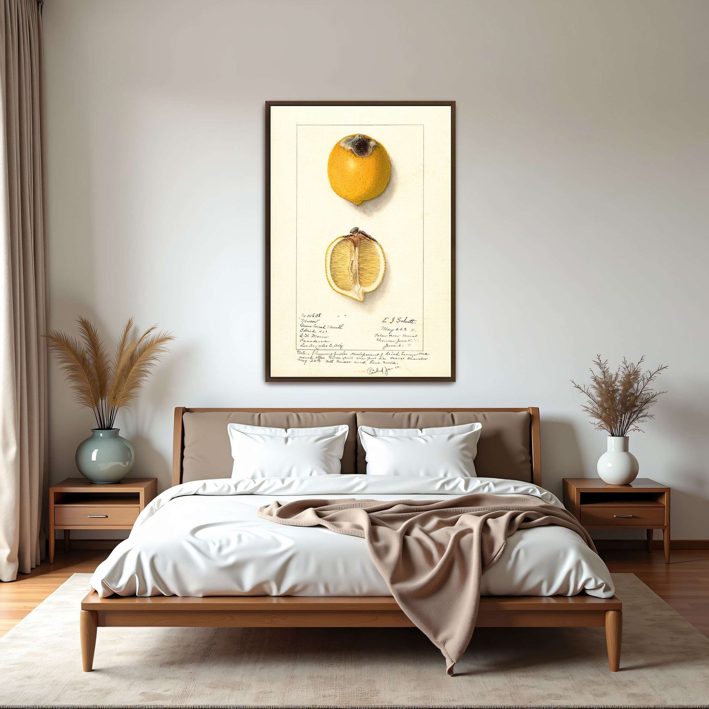 Lemon with Mucor by Ellen Isham Schutt