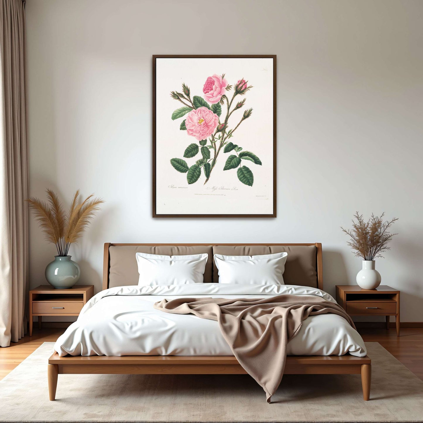 Pink rose botanical illustration by Mary Lawrance