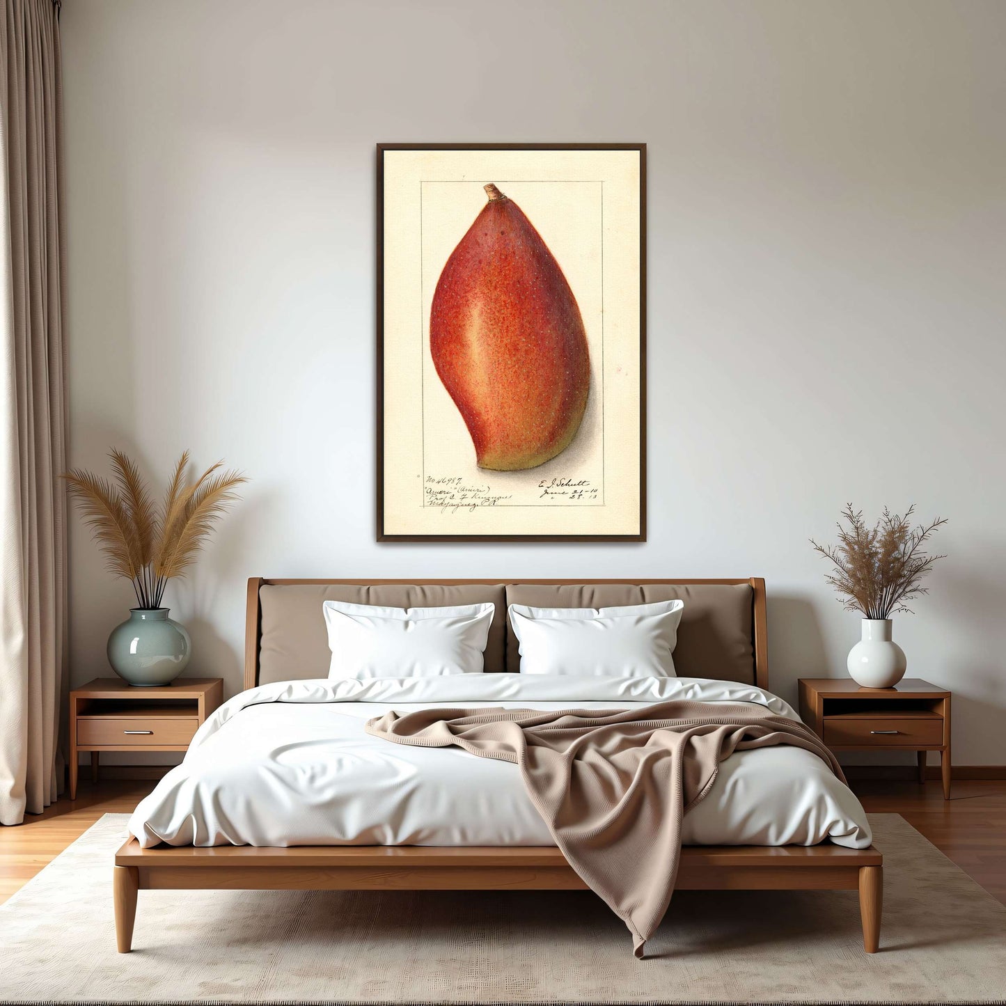 Red mango botanical illustration by Ellen Isham Schutt