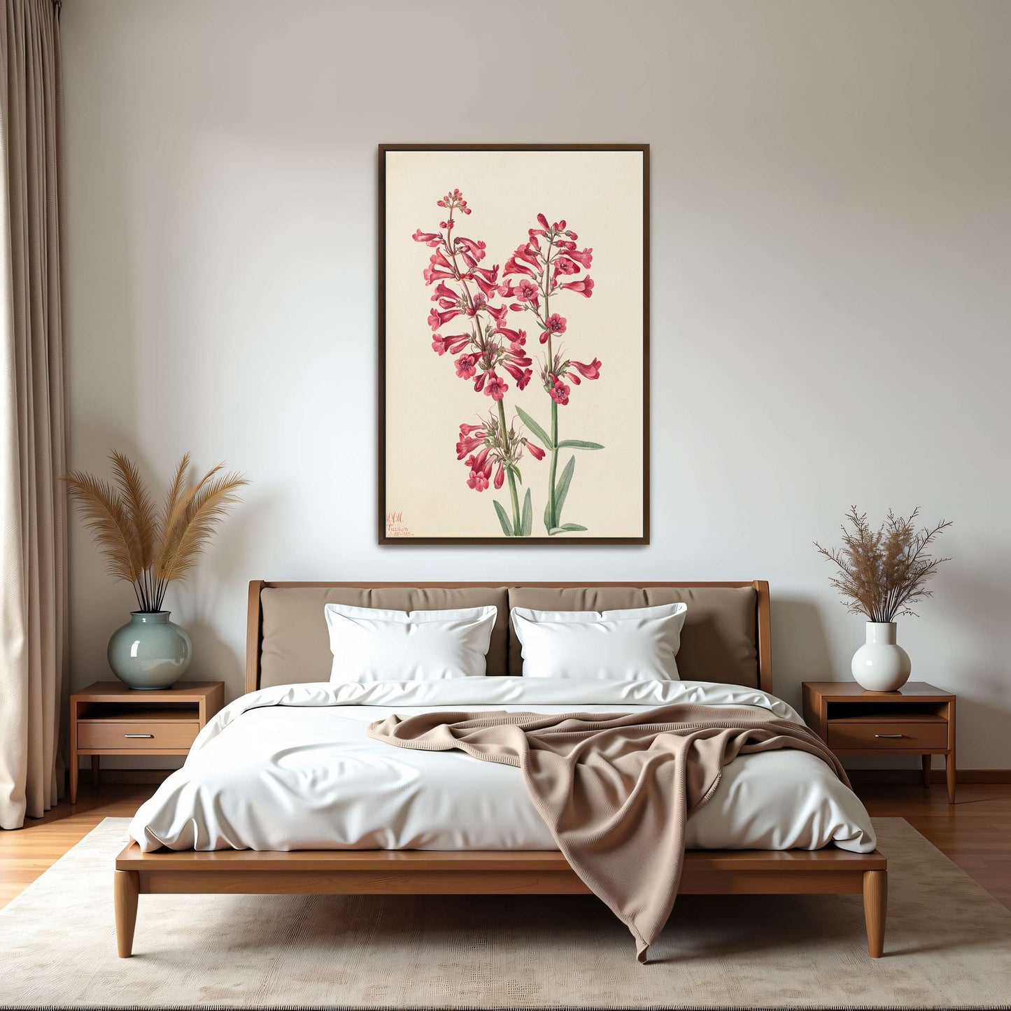 Pink wildflowers botanical art by Mary Vaux Walcott