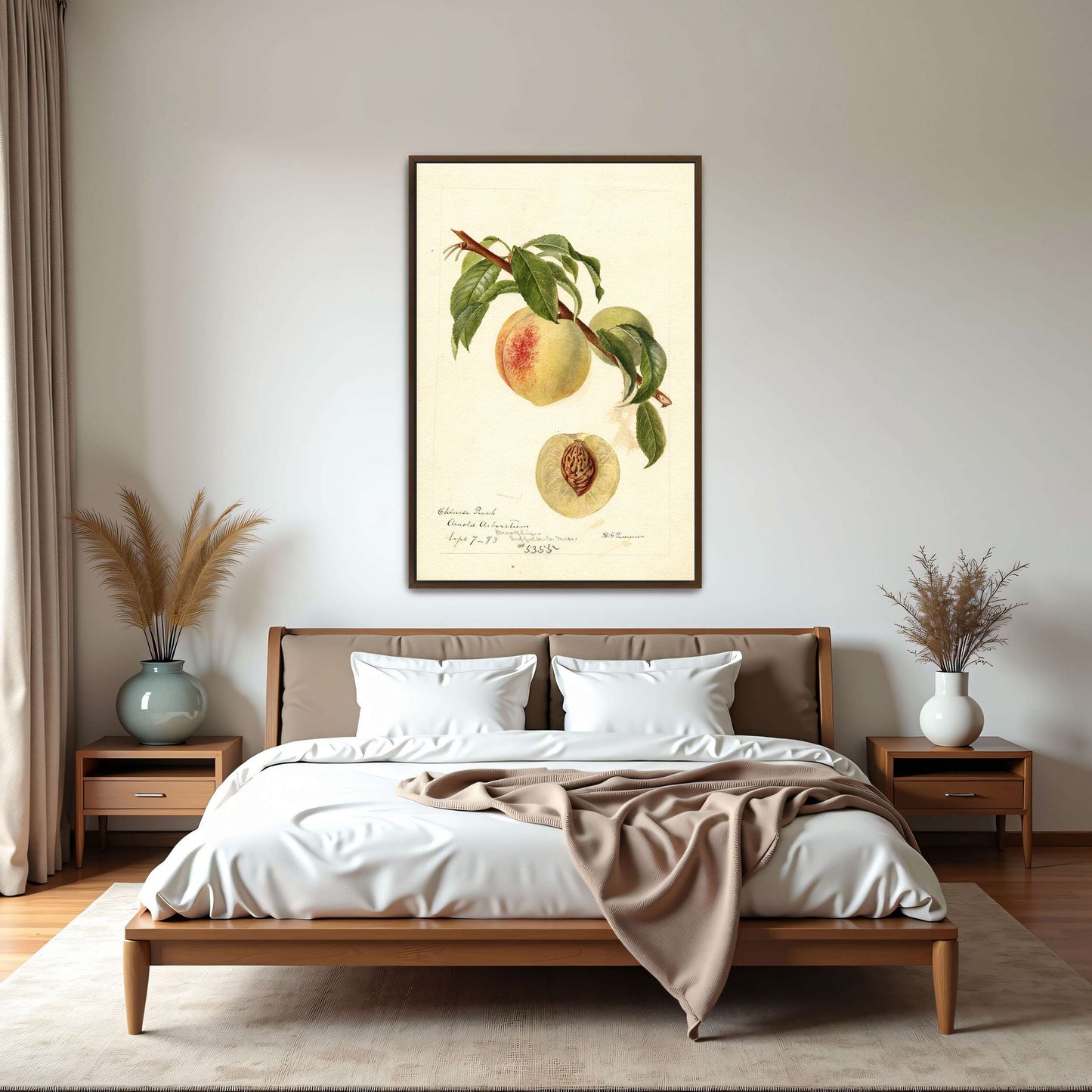 Chinese Peach Botanical Illustration by Deborah Griscom Passmore