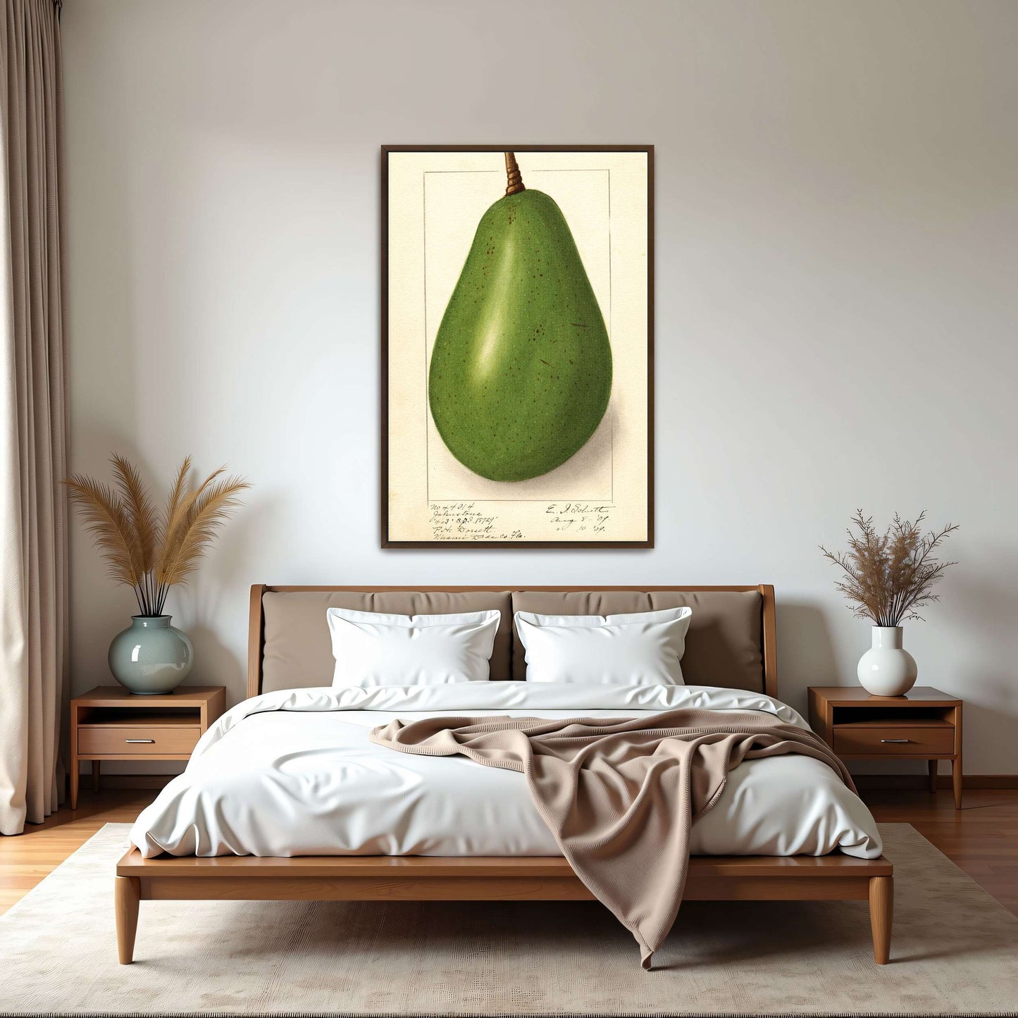 Botanical illustration of avocado by Ellen Isham Schutt