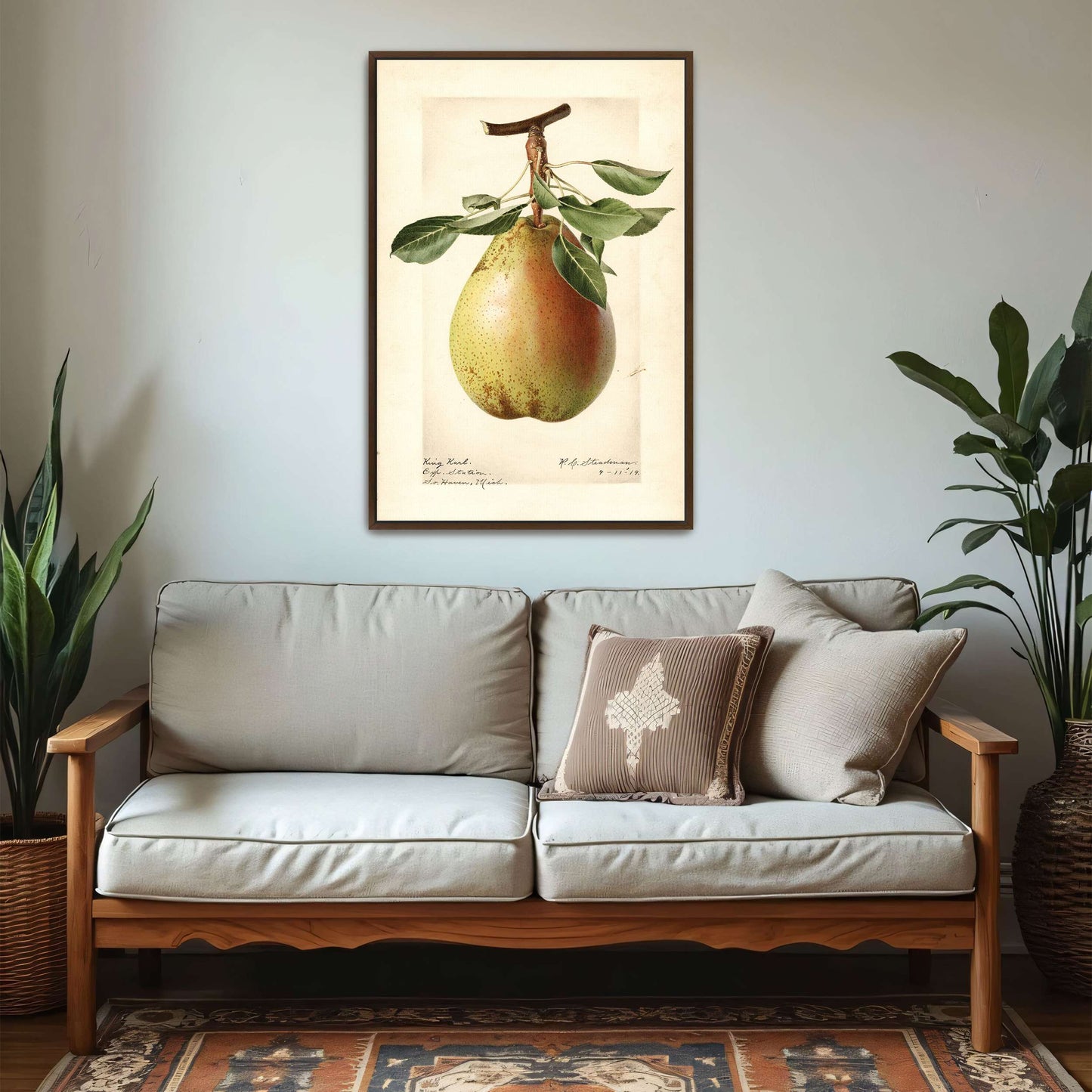 King Karl Pear Botanical Illustration by Royal Charles Steadman