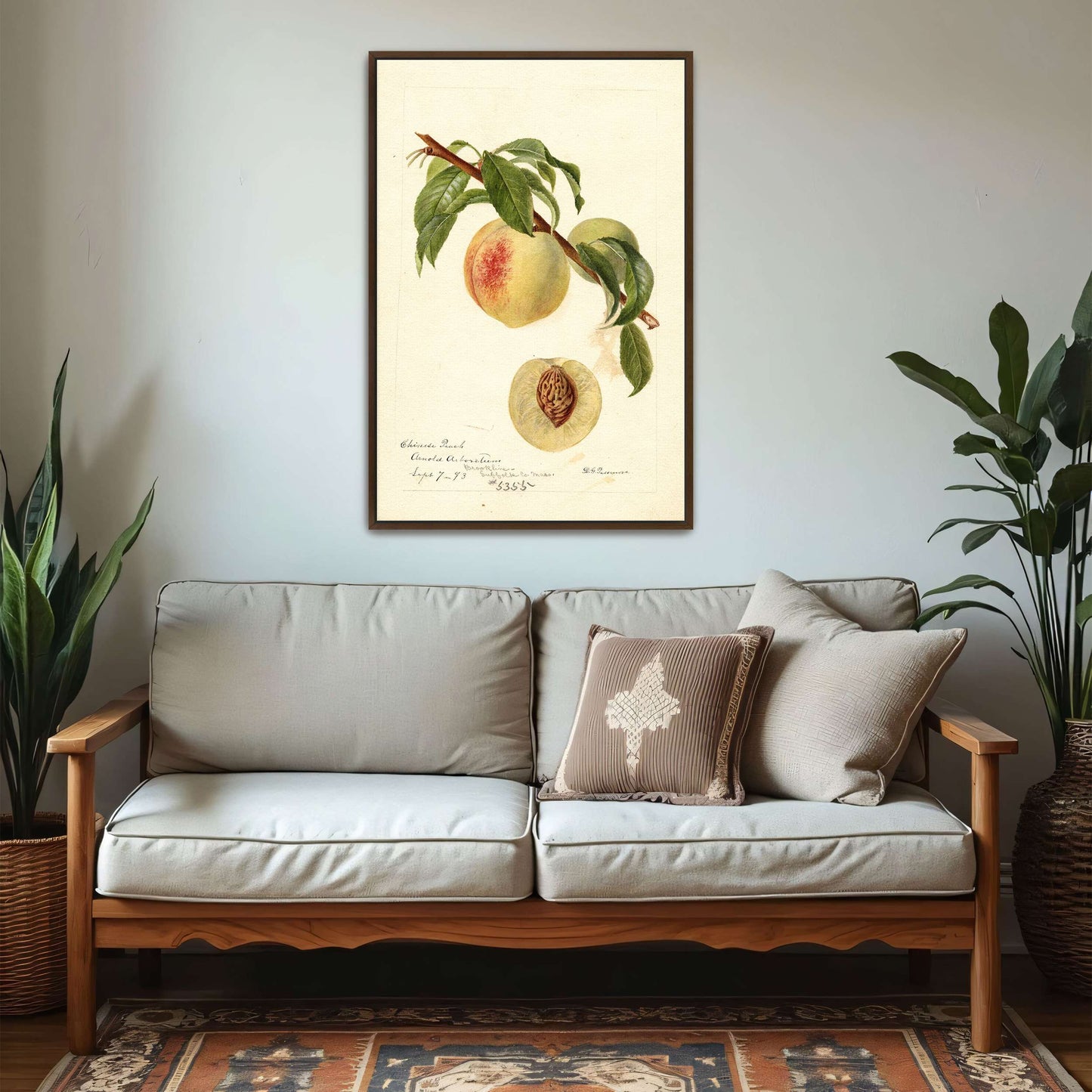 Chinese Peach Botanical Illustration by Deborah Griscom Passmore