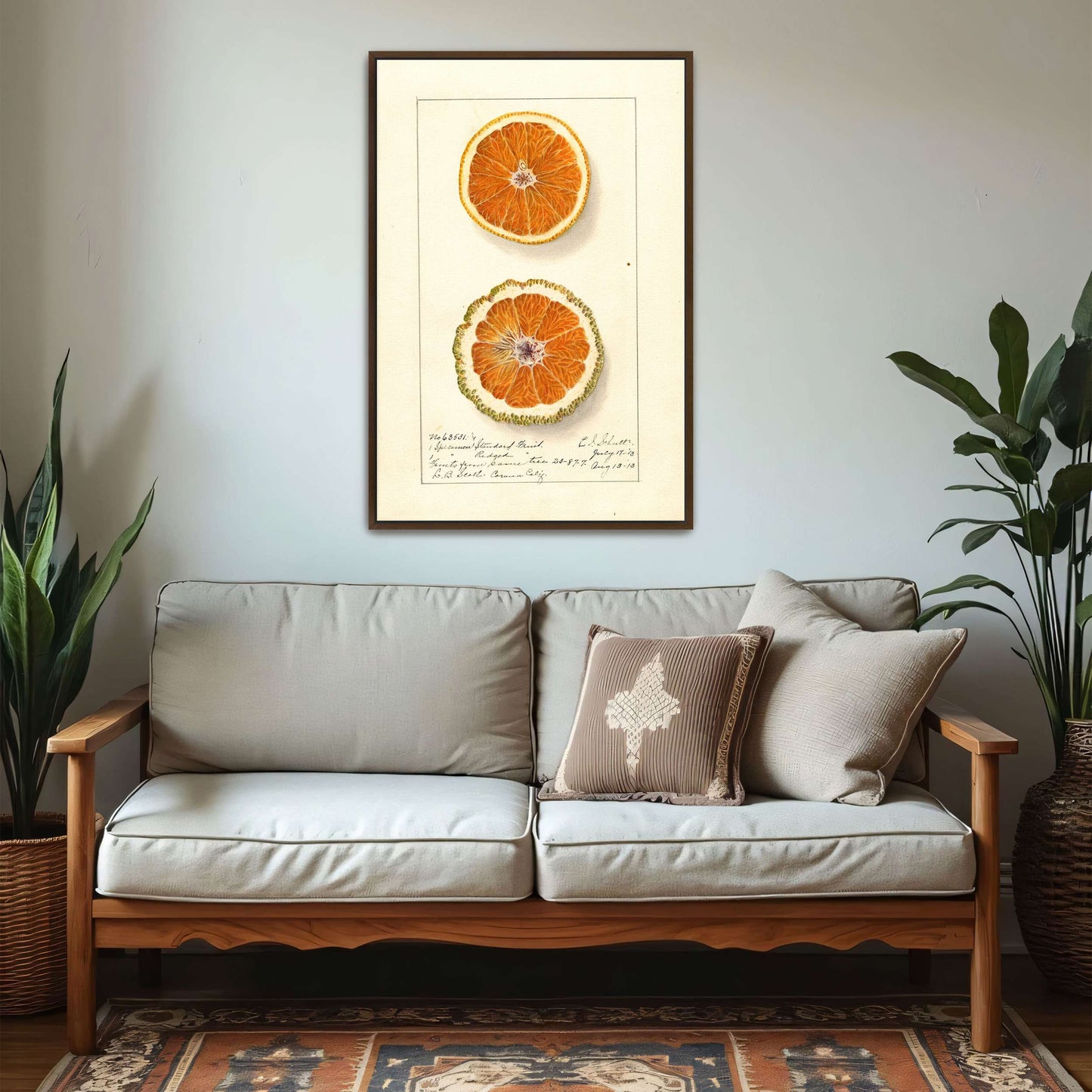 Orange slices, botanical illustration by Ellen Isham Schutt