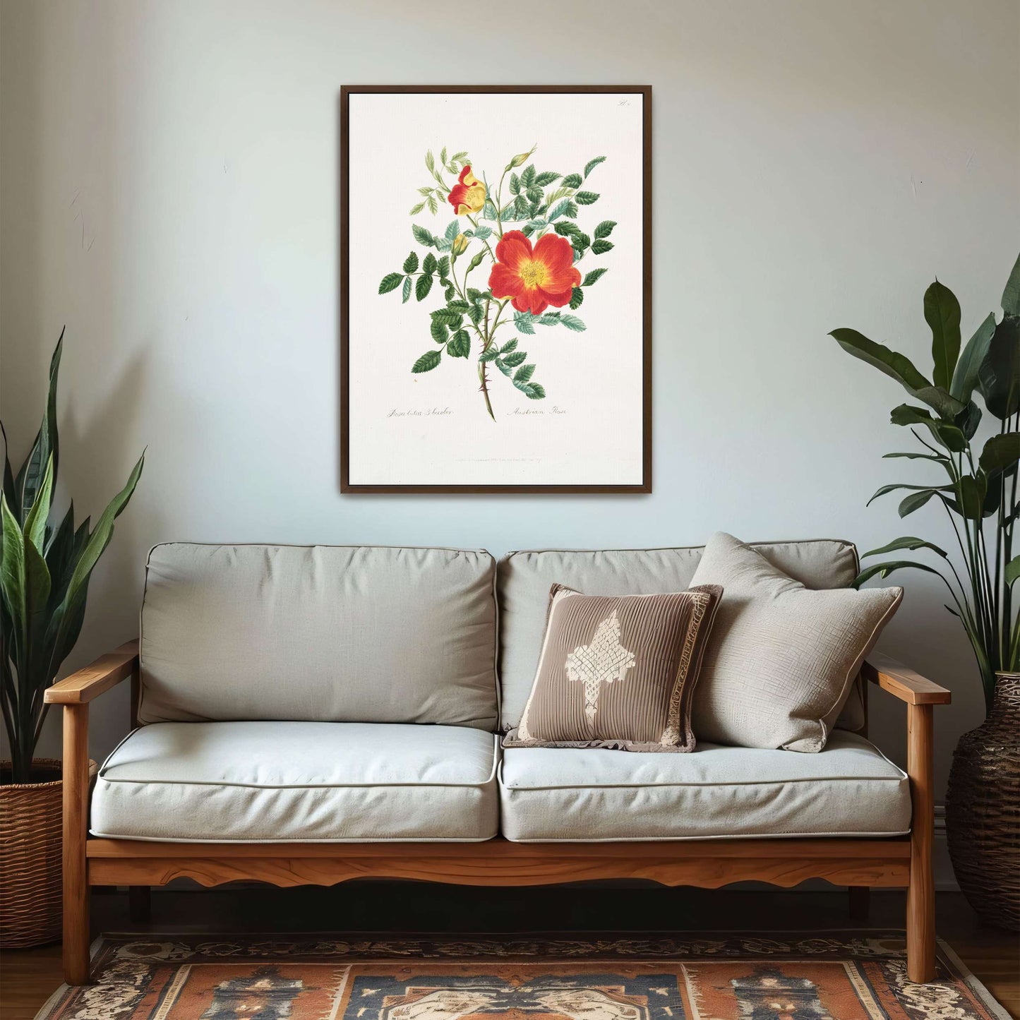 Austrian Rose botanical illustration by Mary Lawrance