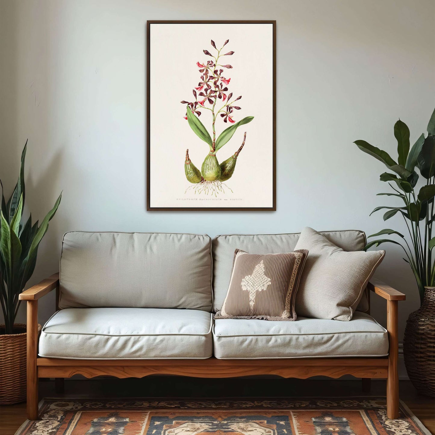 Orchid botanical illustration by James Bateman