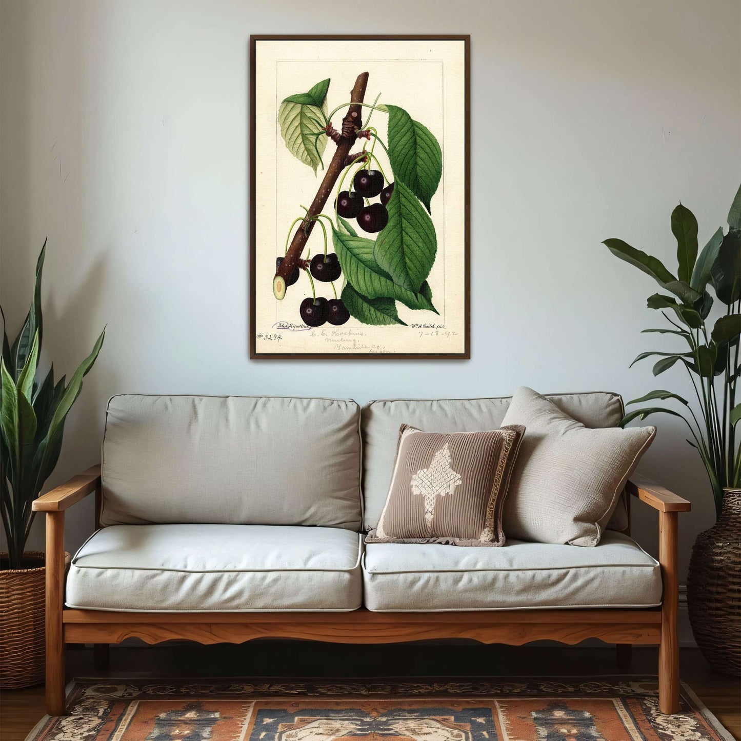 Black Republican Cherries by William Henry Prestele