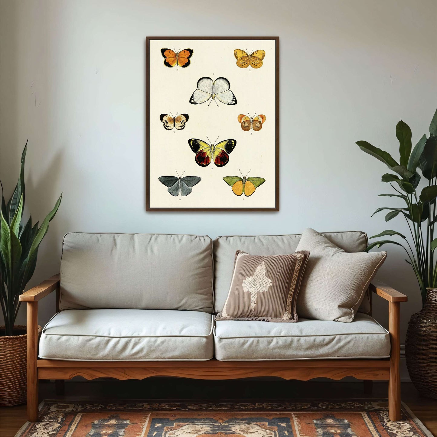 Collection of butterflies on a white page by Pieter Cramer
