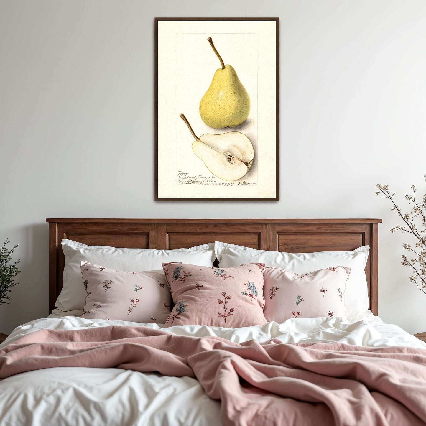 Watercolor pear painting by Deborah Griscom Passmore