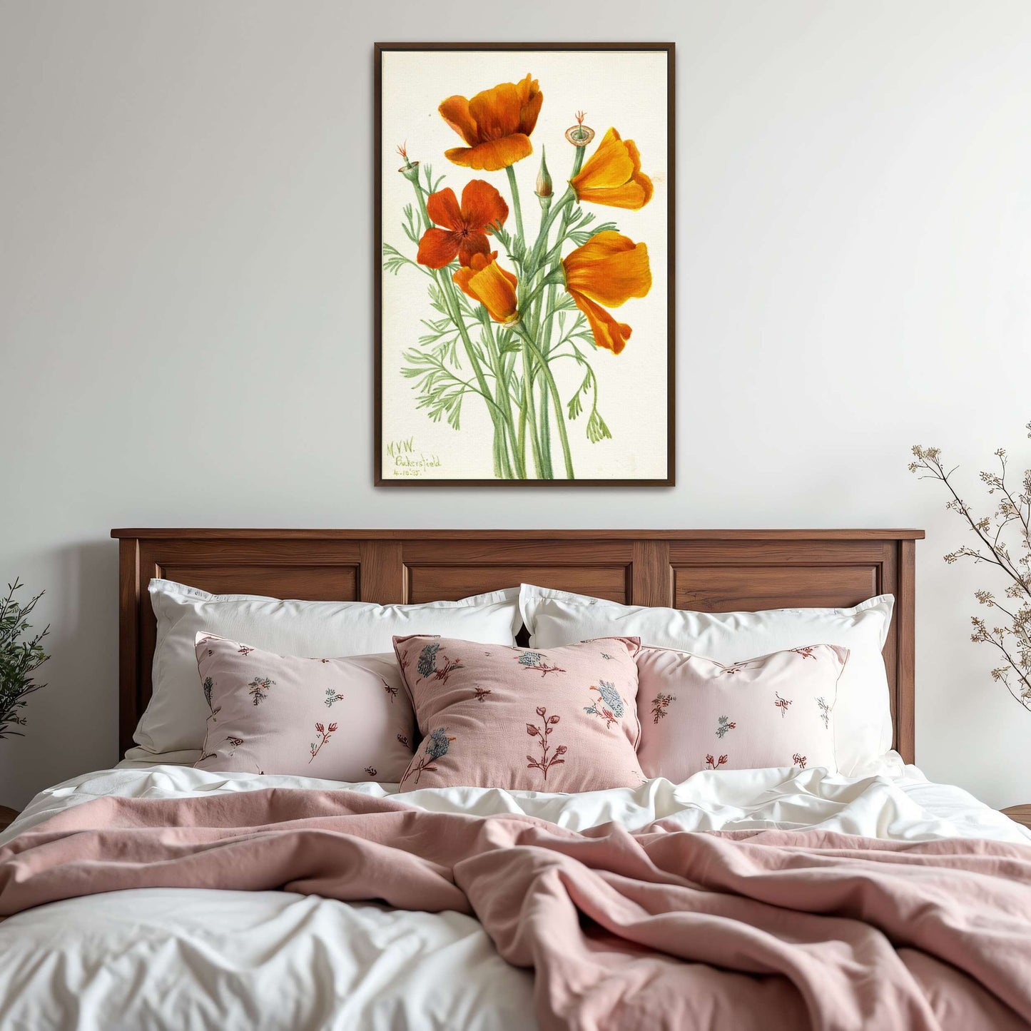 Orange California poppies bouquet by Mary Vaux Walcott